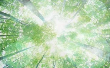 幼儿园大班空气炮教案5篇
