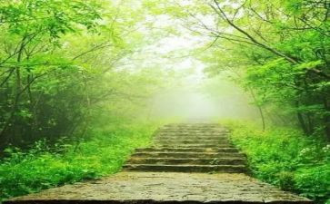 老师的苦作文最新8篇