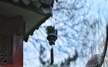 老师的苦与乐作文精选7篇