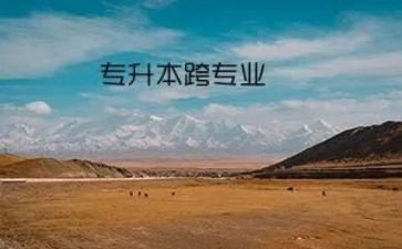 跨专业金融申请书5篇