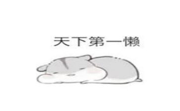 作文懒惰的我600字8篇