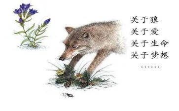 狼王梦体会心得体会推荐5篇