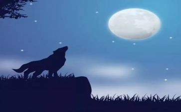 读后感狼王梦的读后感300字5篇