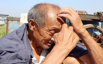 老人保姆合同推荐5篇