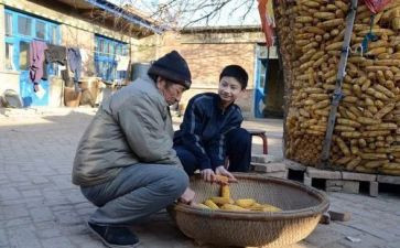 我的姥爷800作文7篇