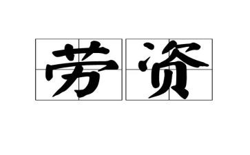 劳资员半年工作总结5篇