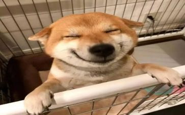 我在快乐中成长初中作文通用7篇