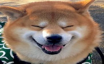 快乐作文600字推荐7篇