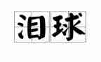 幸福的泪作文500字模板6篇