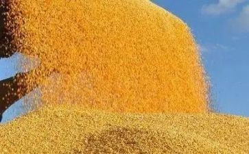 粮食宣传周活动方案8篇