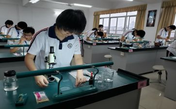 理化生教研组教研工作计划最新8篇