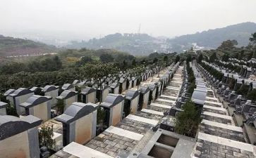 参观完烈士陵园的心得体会8篇