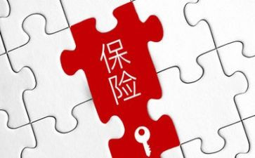 保险公司理赔述职报告模板6篇