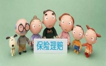 理赔个人总结5篇