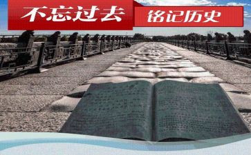 团的历史心得体会通用8篇