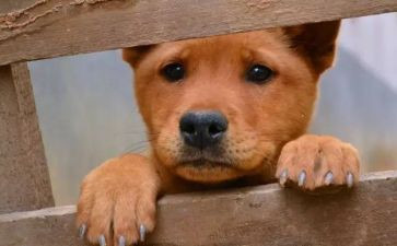 观看流浪地球2观后感7篇