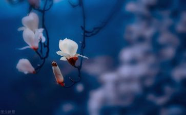 2024年物流年终工作总结参考8篇