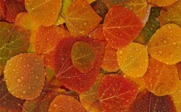 《处处留心皆学问》作文8篇