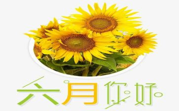 幼儿月六月份工作计划8篇