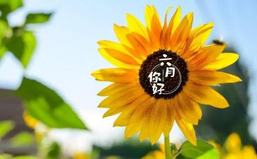 六月的天作文6篇