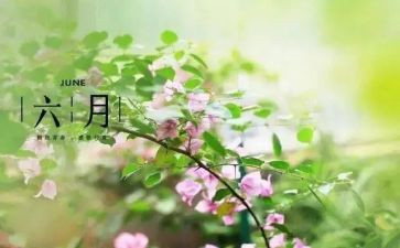 六月份安全总结7篇