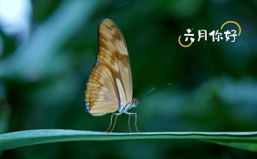 六月份工作计划范文8篇