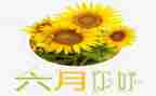 幼儿月六月份工作计划8篇