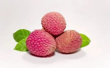 荔枝湾的作文8篇