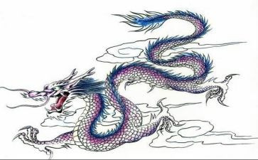 大接龙活动心得体会5篇