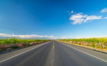 党的路线心得体会5篇