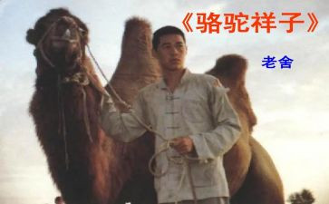 读骆驼心得体会优质8篇