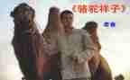 骆驼祥子读书心得体会800字7篇