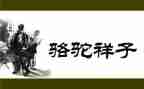 读骆驼心得体会最新5篇