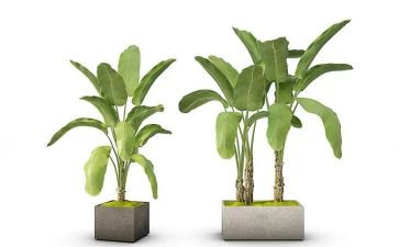 单位绿化工作总结范文6篇