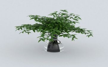 种绿豆心得体会6篇