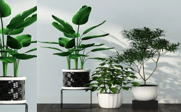 绿化所工作总结参考8篇