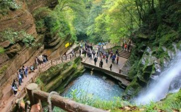 局旅游工作个人总结5篇