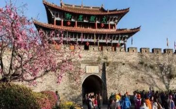 我旅游了作文最新5篇