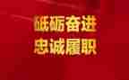 年度履职工作总结最新5篇