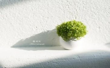 描写动作慢的作文最新6篇