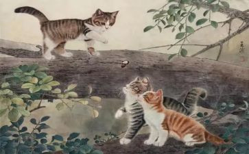 《猫》的读后感600字推荐7篇
