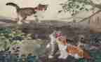 猫读后感500字作文通用7篇