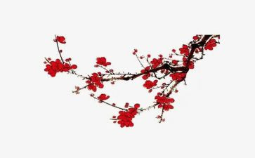 梅花糕作文300字8篇