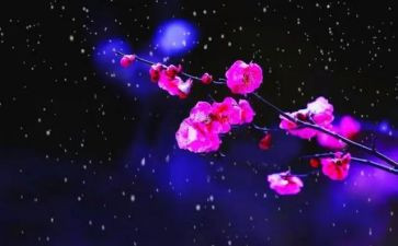 读梅花魂的读后感参考7篇