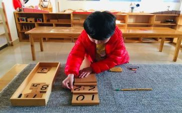 蒙氏上学期班务工作计划优秀7篇