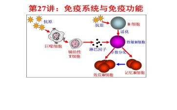 计划免疫工作计划范文5篇