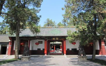庙会作文800字5篇