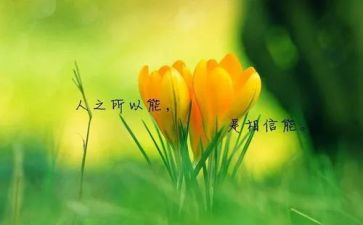 名人传读后感600字6篇
