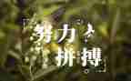名人传读后感500字推荐8篇