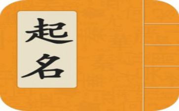 写名字的来历的作文8篇
